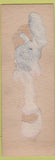 Matchbook Cover - Charlotte's Beauty Studio Haverhill MA SAMPLE girlie CREASE'