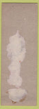 Matchbook Cover - Norton's Beauty Salon girlie Valdina TN SAMPLE'
