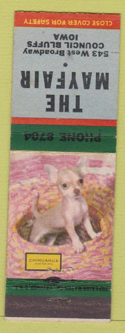 Matchbook Cover - The Mayfair Council Bluffs IA Chihuahua Dog