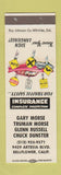Matchbook Cover - Insurance Gary Truman Morse Bellflower CA SAMPLE