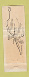 Matchbook Cover - Monte Verde Inn Forest Hill CA