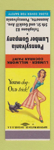 Matchbook Cover - Pennsylvania Lumber Jeannette PA SAMPLE pinup
