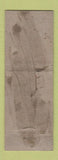 Matchbook Cover - Broadway Deluxe Cab taxi Portland OR WORN