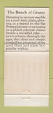 Matchbook Cover - Bunch of Grapes Sheraton Cleveland OH WEAR 30 Strike