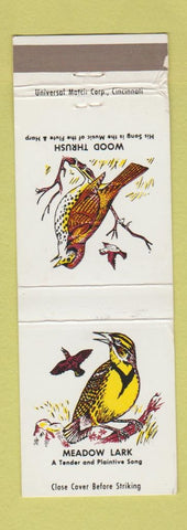 Matchbook Cover - Meadow Lark Wood Thrush Birds Miami Bank Cedarville OH