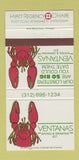 Matchbook Cover - Ventanas Hyatt Regency Chicago O'Hare IL 30 Strike