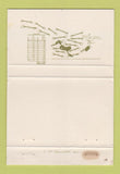 Matchbook Cover - Farm Motor Inn Country Club Morrisville VT WEAR 40 Strike