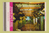 Matchbook Cover - Lone Star Beer San Antonio TX Buckhorn Horns WEAR 40 Strike