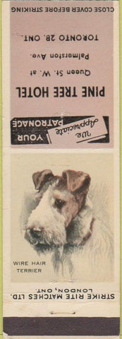 Matchbook Cover - Pine Tree Hotel Toronto ON Wire Hair Terrier