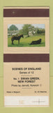Matchbox - Scenes of England Swan Green New Forest WEAR