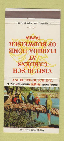 Matchbook Cover - Busch Gardens Tampa FL Parrots 30 Strike