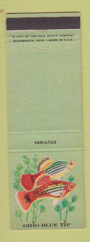 Matchbook Cover - Ohio Blue Tip Matches Variatus Fish