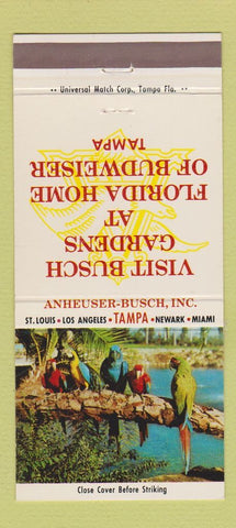 Matchbook Cover - Busch Gardens Tampa FL parrots  30 Strike