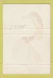 Matchbook Cover - River View Motel Aberdeen SD SAMPLE WEAR 40 Strike