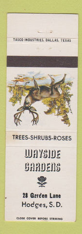 Matchbook Cover - Wayside Gardens Hodges SD