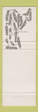 Matchbook Cover - Fircrest Golf Club WEAR