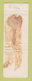 Matchbook Cover - Cedar Lanes Bowling Fresno CA WORN BACK