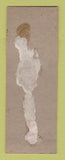 Matchbook Cover - Lone Pine BBQ Merton WI WORN BACK