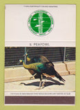 Matchbook Cover - Jurong Bird Park Singapore Peafowl WEAR 40 Strike