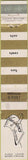 Matchbook Cover - Davidson's of Indiana Indianapolis IN 10 Strike